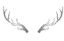 grey ombre deer antlers